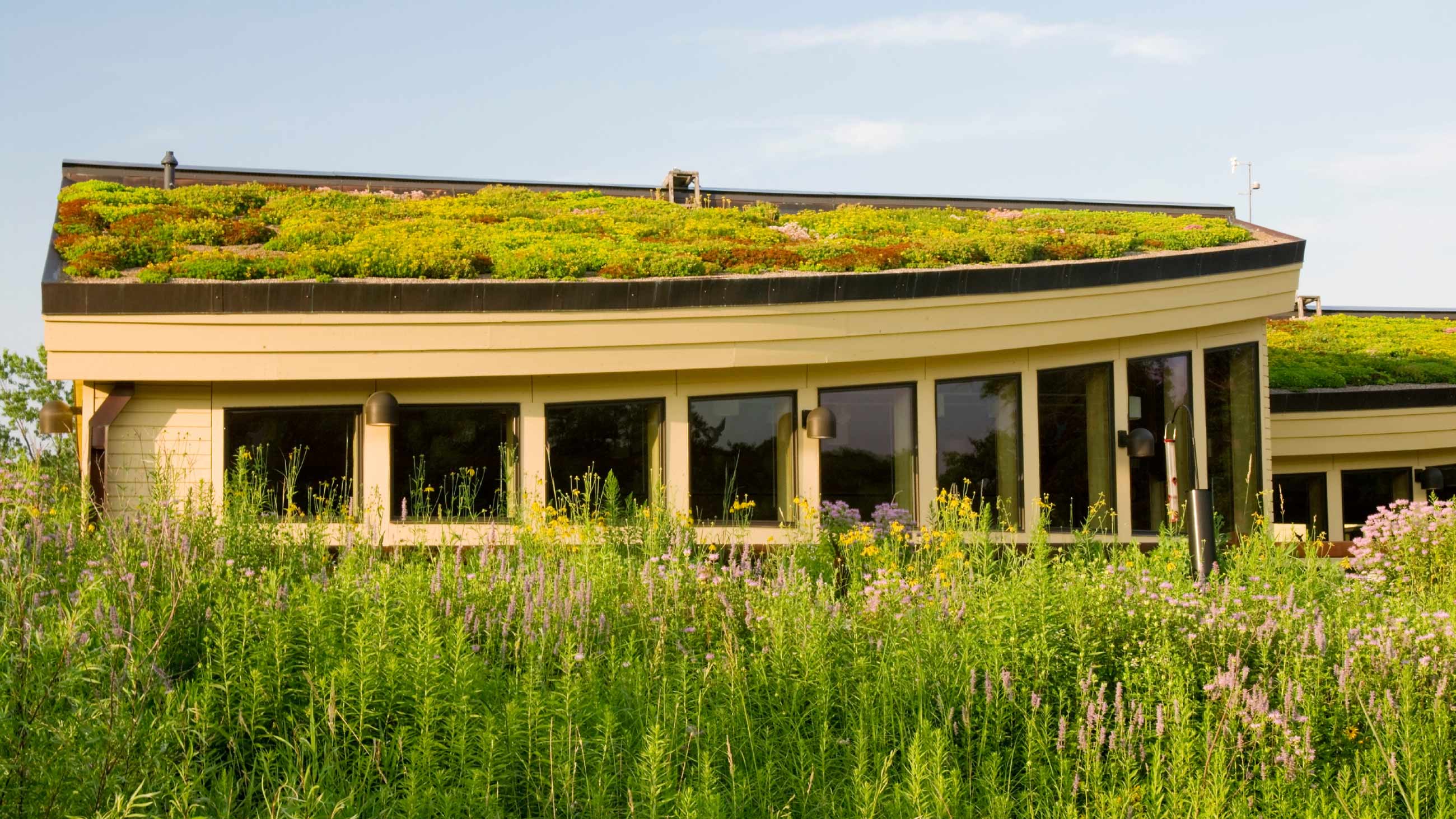 dachdeckerei_muenchen_spenglerei_leistungen_dachbegruenung_intensiv1